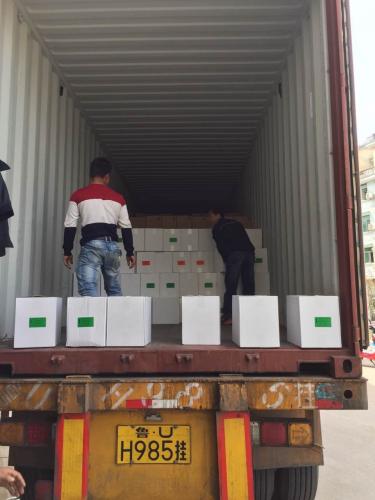 貨運(yùn)倉儲展示